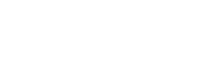 Boston Institute of Finance